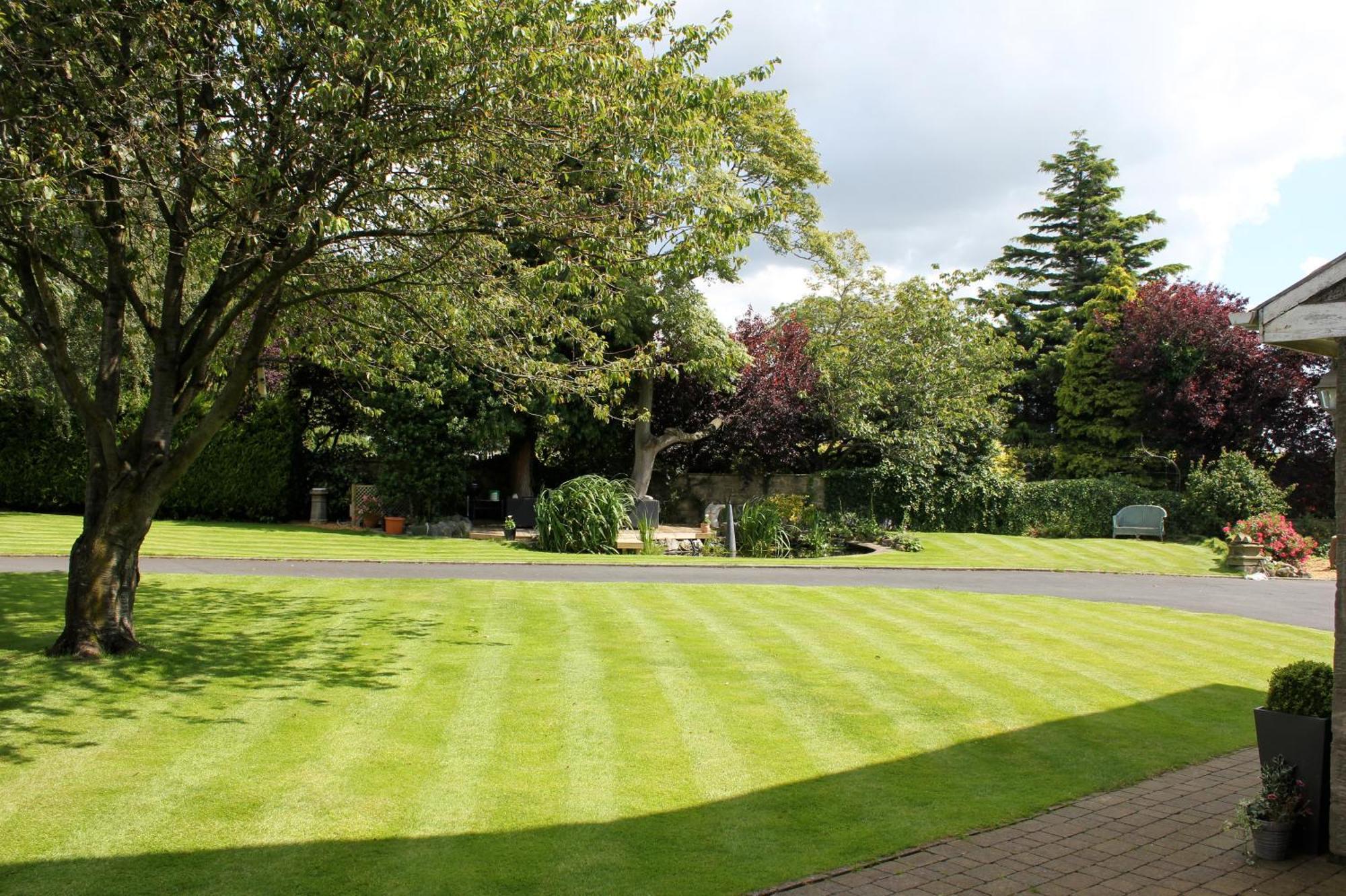 Hazel Manor Pension Harrogate Buitenkant foto